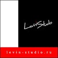 Школа-студия аэрографии Levin Studio