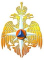 ГУ МЧС России по г. Москве