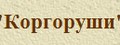 РФОО "Коргоруши"