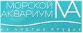 Морской аквариум на Чистых прудах