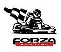 Forza Karting