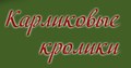 Клуб Любителей Декоративных Грызунов