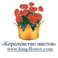 Служба доставки "Королевство цветов" (www.king-flower.com)