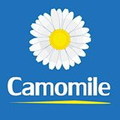 Camomile